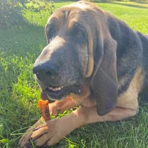 Meet your Posher, Karen